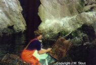 Lobster fishing